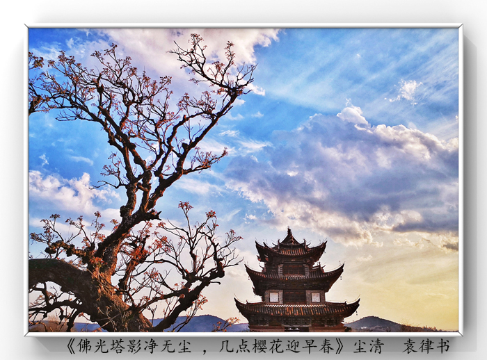 025《佛光塔影凈無(wú)塵 ，幾點(diǎn)櫻花迎早春》.jpg