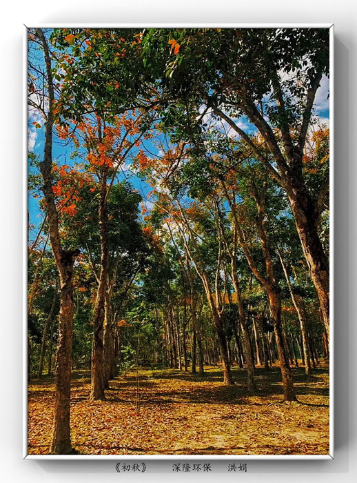 微信圖片_20200509210557.jpg 微信圖片_20200509210557.jpg